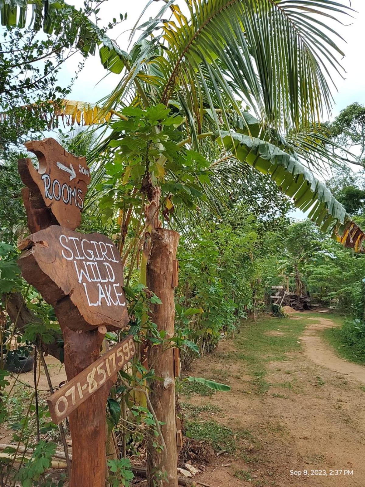 Sigiri Wild Lake دامبولا المظهر الخارجي الصورة